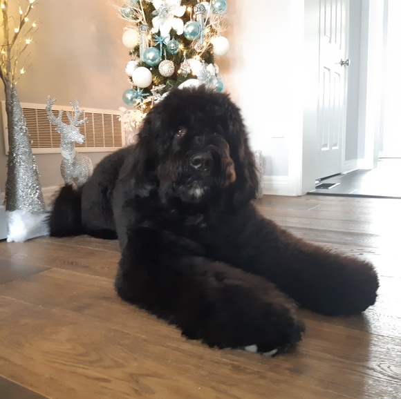 Meet your Posher, Olga - Picture 1 of 1